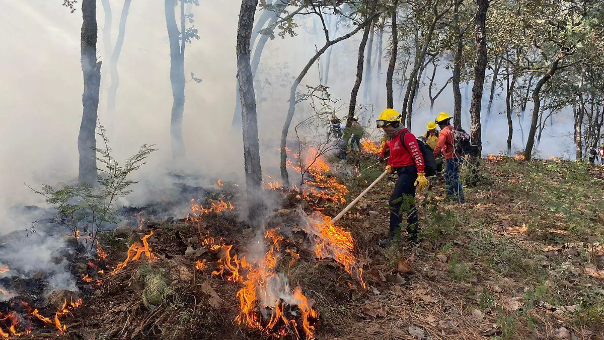 Protección Civil y Bomberos de Zapopan